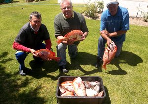 Kry jou amperbootjie 